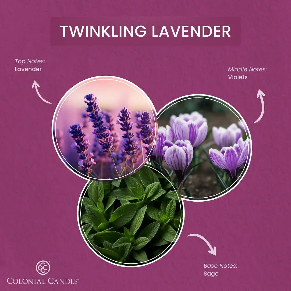 Twinkling Lavender, 14.5 oz