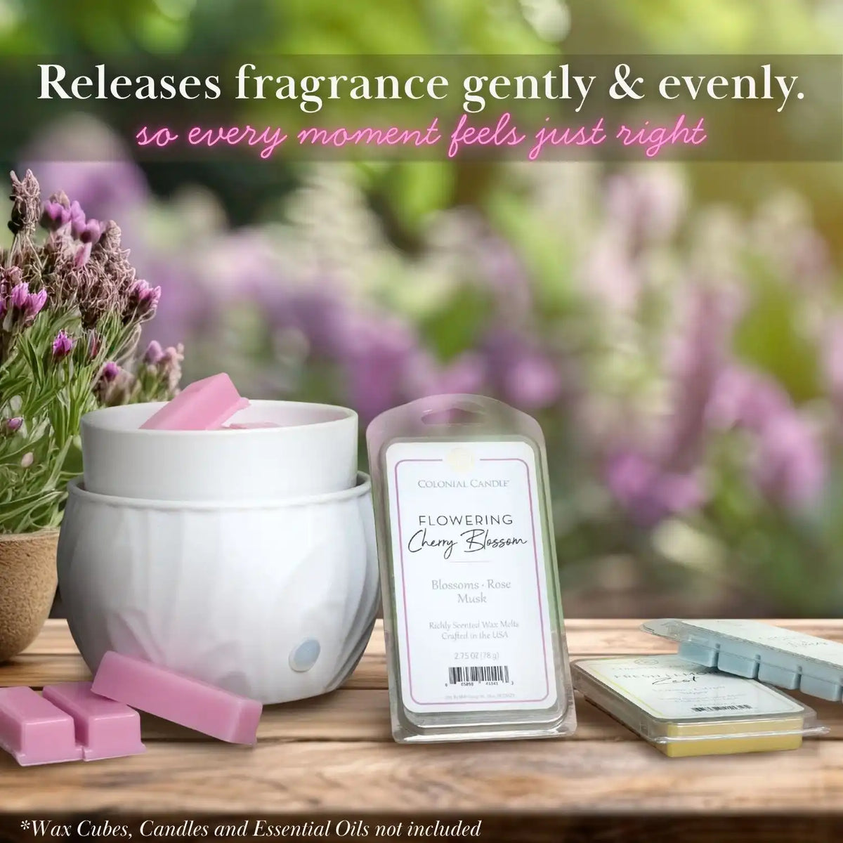 Electric Wax Warmer with Adjustable Timer Control