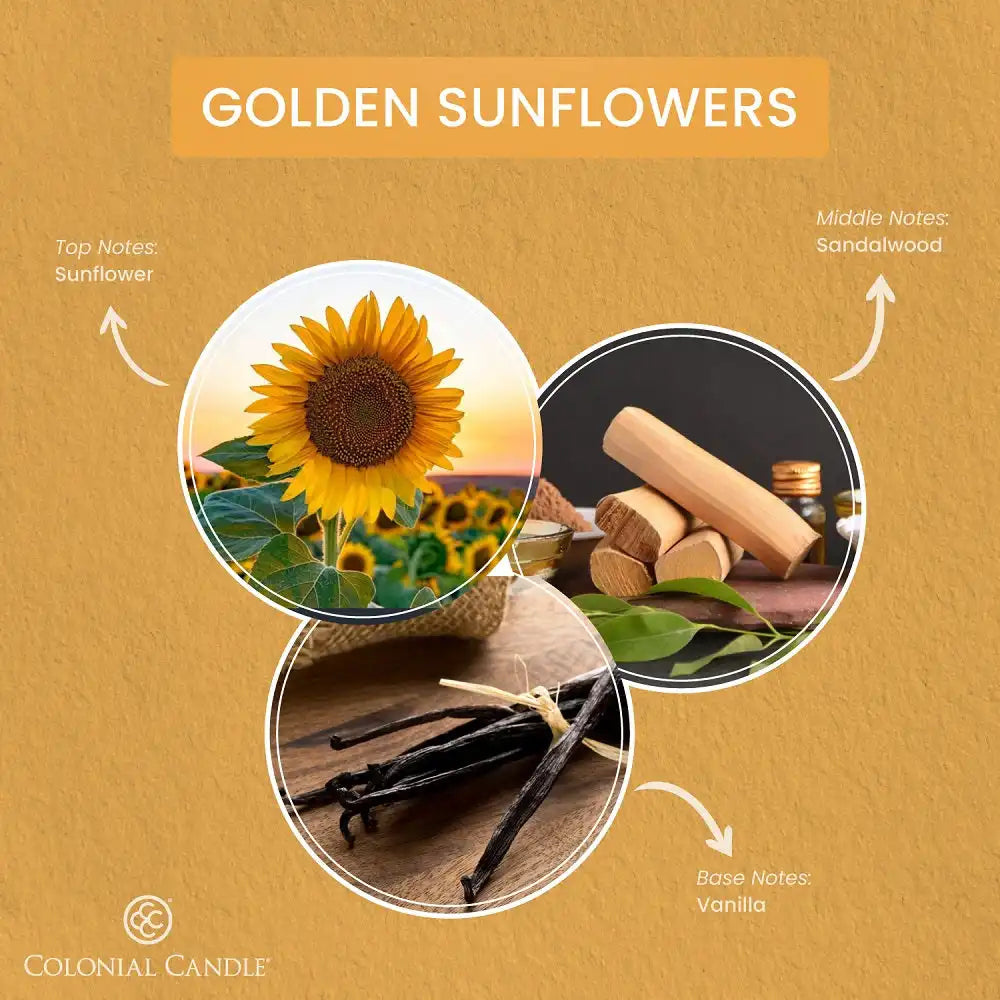 Golden Sunflowers, 14.5 oz