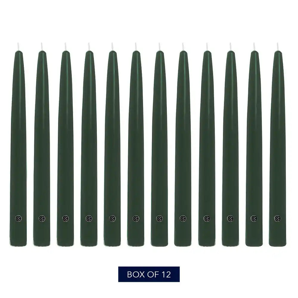 10" Evergreen Handipt Taper, 12 Pack