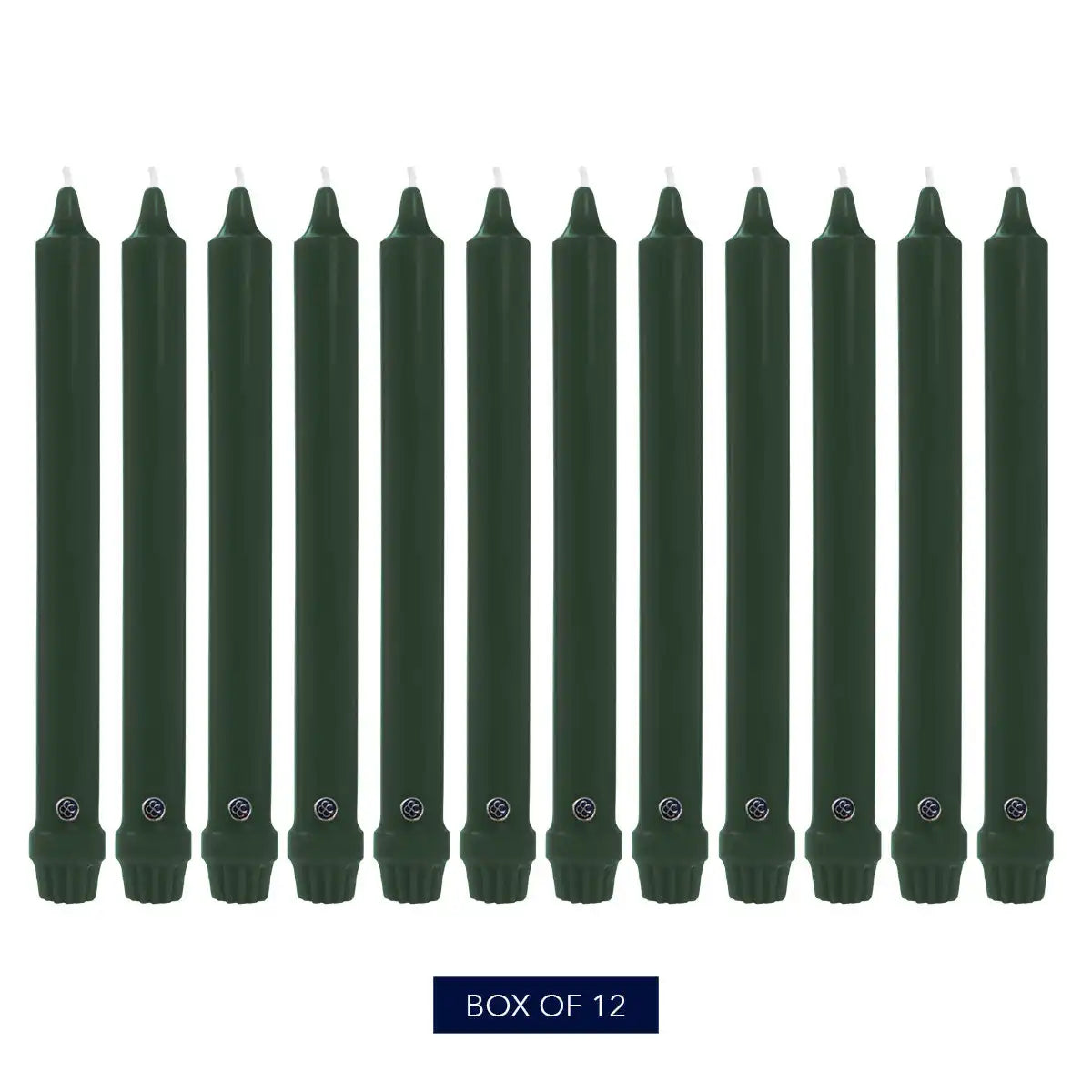 8" Evergreen Classic Dinner Candle, 12 Pack