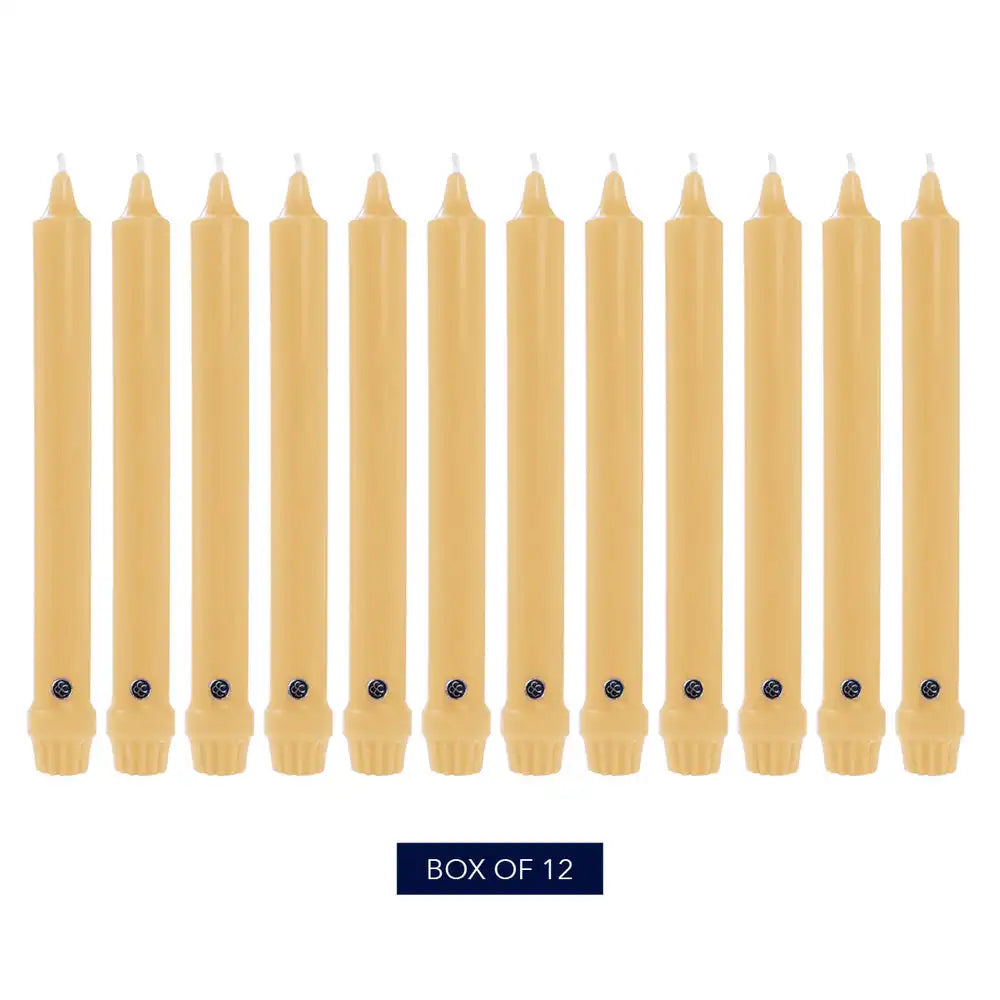 10" Limoncello Classic Dinner Candle, 12 Pack