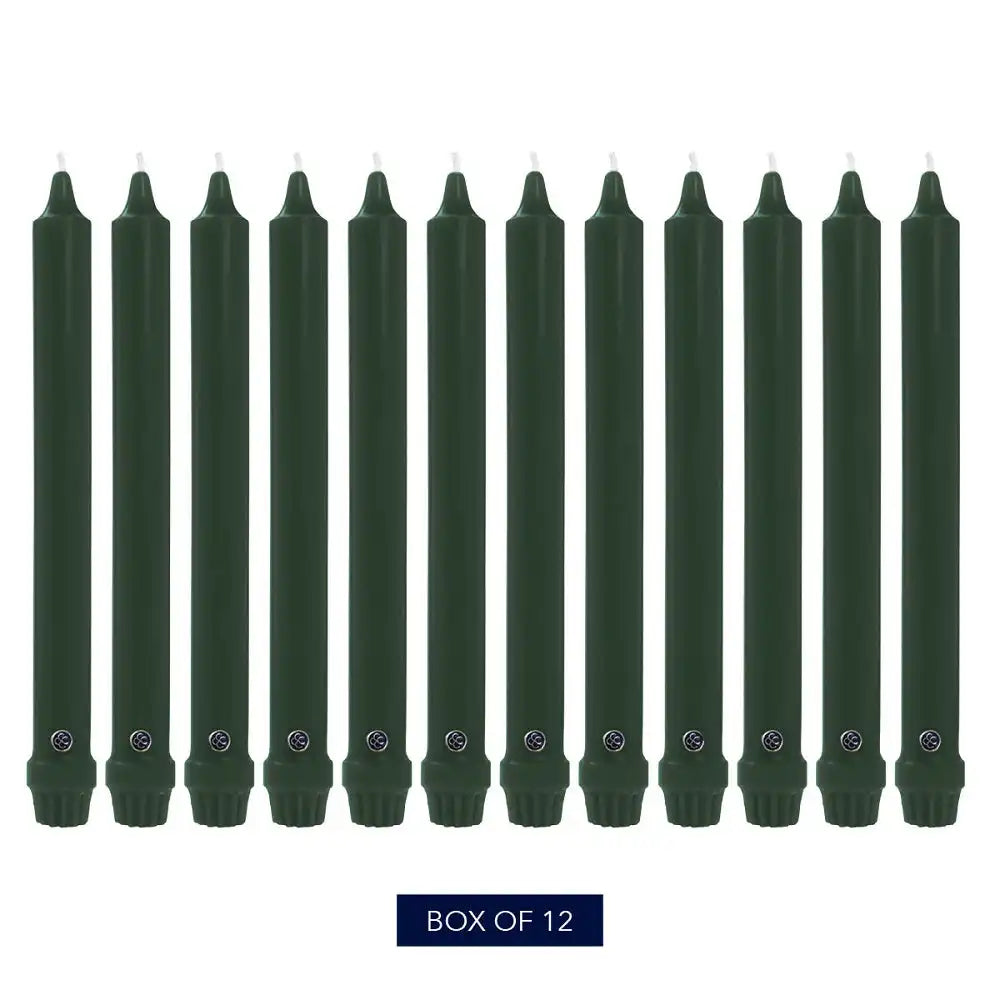 12" Evergreen Classic Dinner Candle, 12 Pack