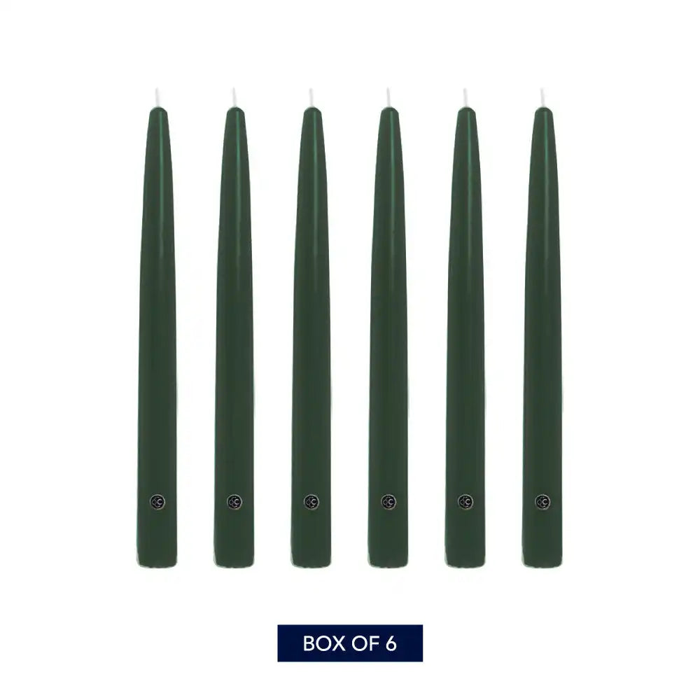 10" Evergreen Handipt Taper, 6 Pack