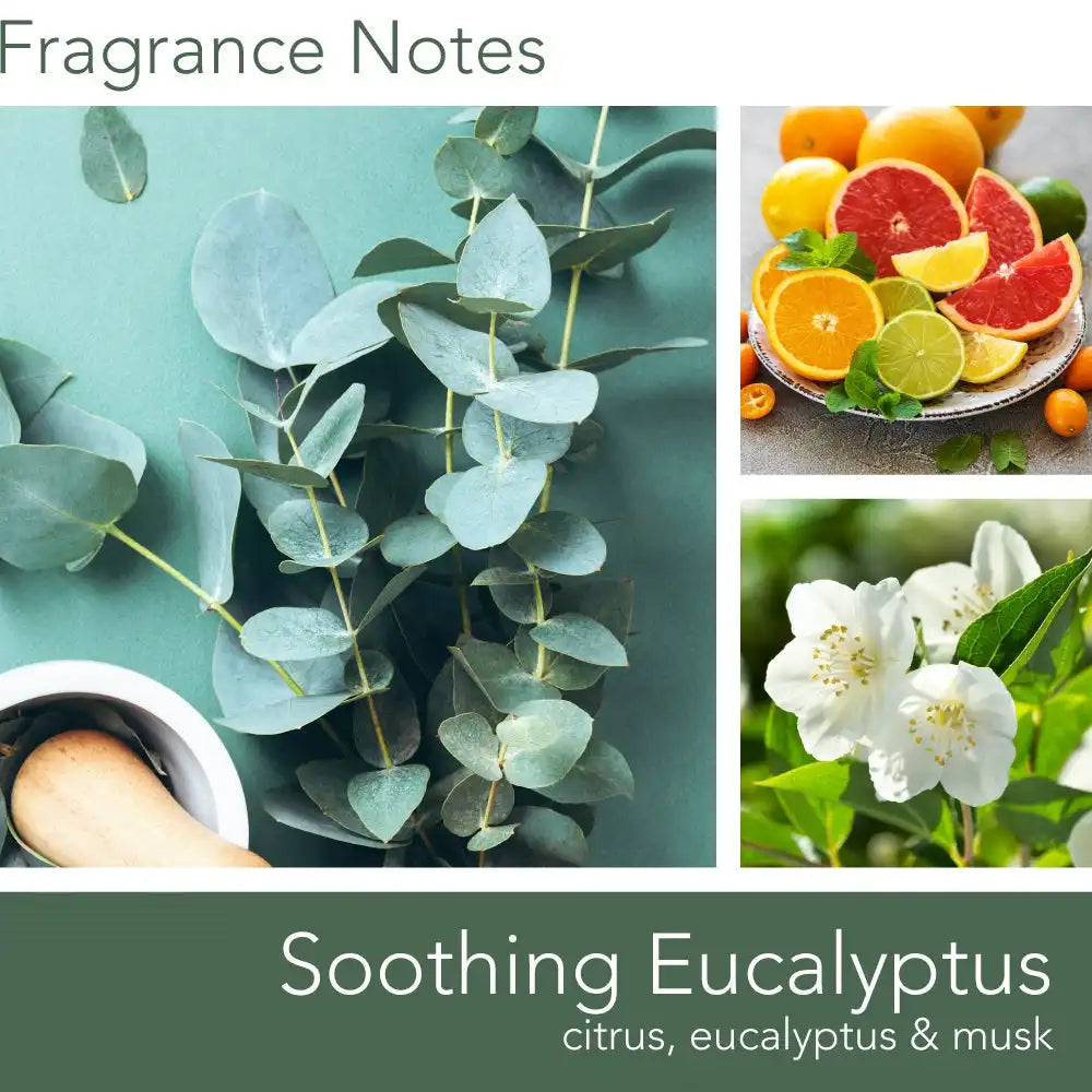 Soothing Eucalyptus, 16 oz
