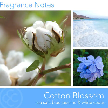 Cotton Blossom, 14 oz