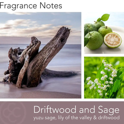 Driftwood & Sage, 14 oz