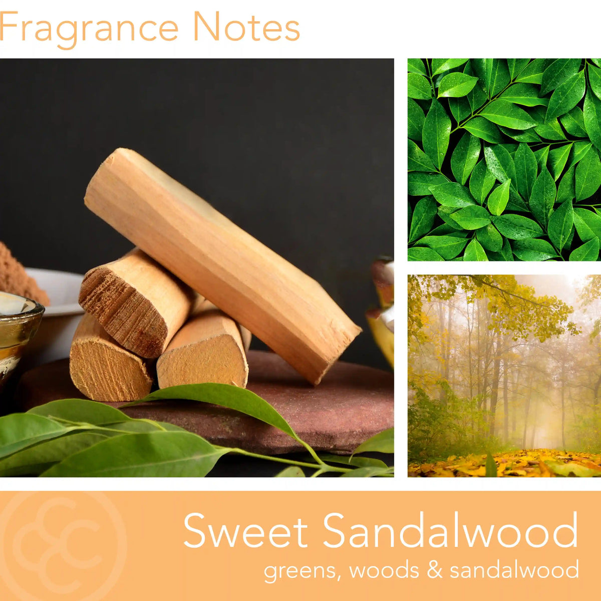 Sweet Sandalwood, 14 oz