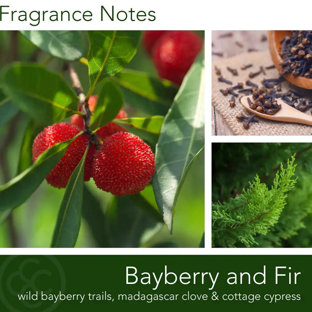 Bayberry & Fir, 14 oz