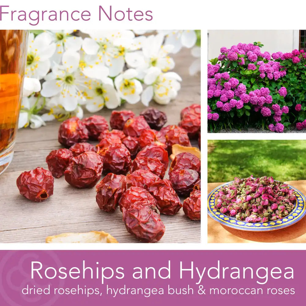 Rosehips & Hydrangea, 8 oz