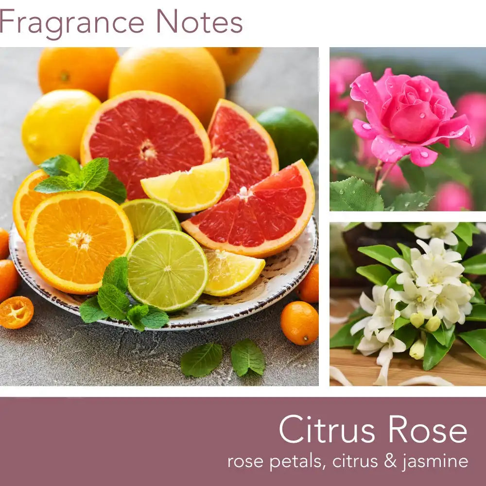 Citrus Rose, 16 oz