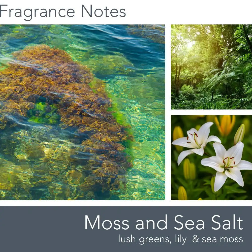 Moss & Sea Salt, 16 oz