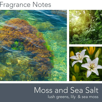 Moss & Sea Salt, 16 oz