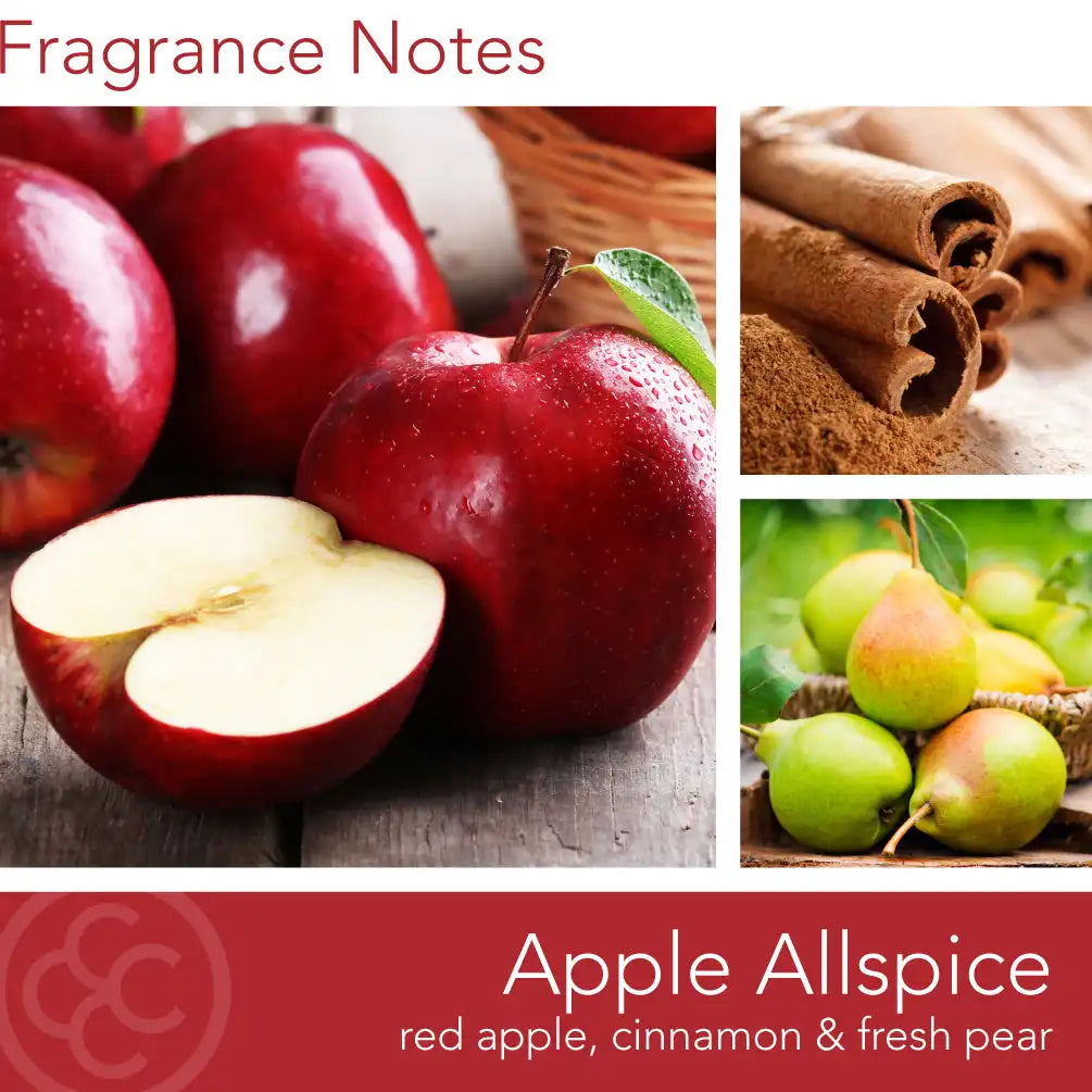 Apple Allspice Wax Melt