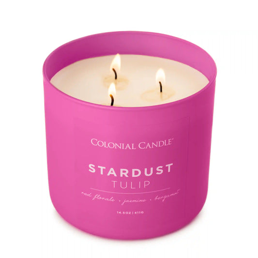 Stardust Tulip, 14.5 oz