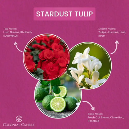 Stardust Tulip, 14.5 oz