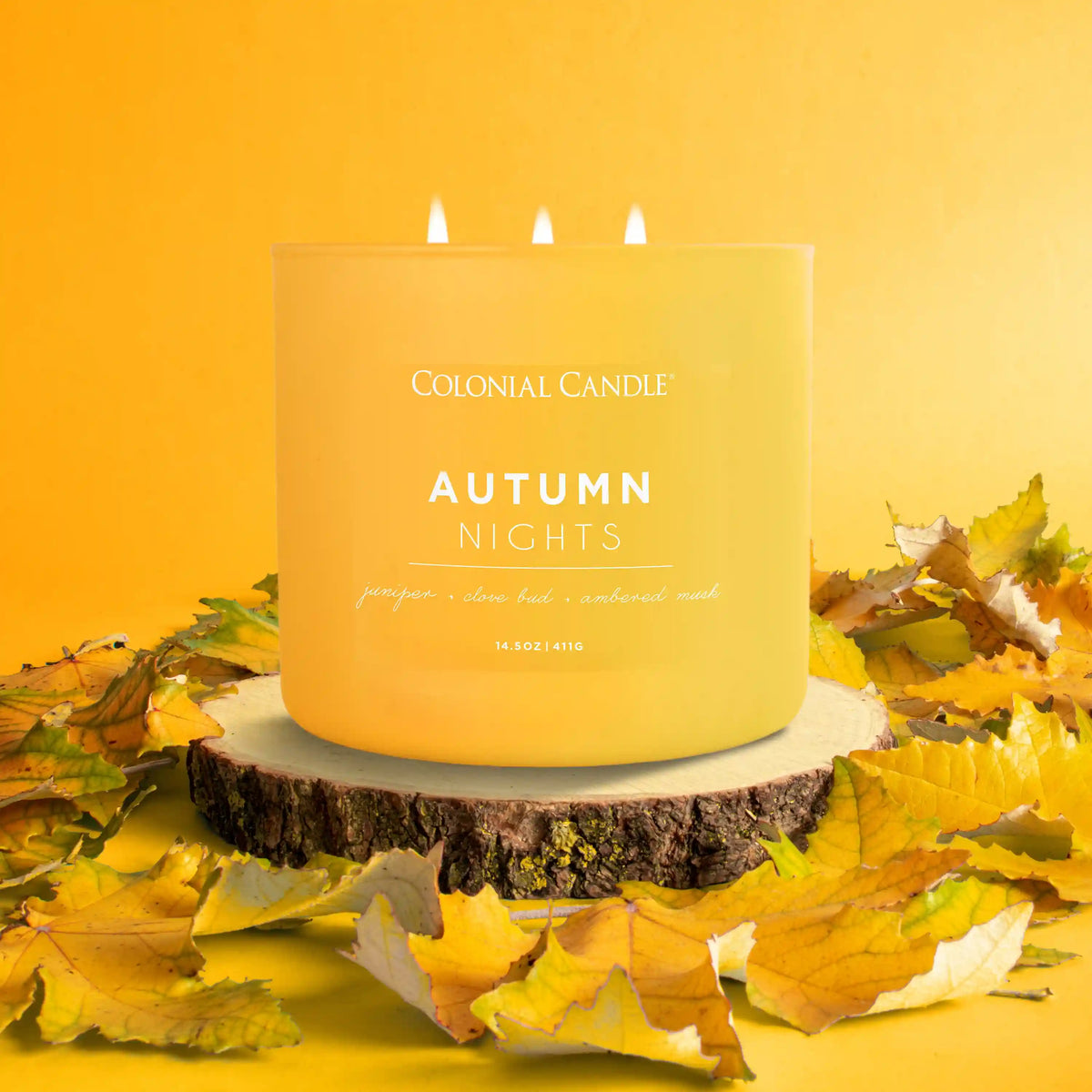 Autumn Nights, 14.5 oz