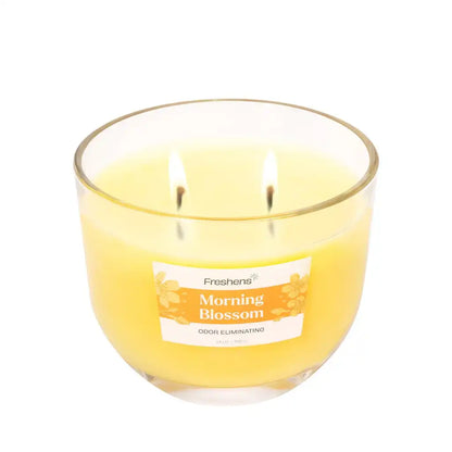 Morning Blossom, Odor-eliminating 14oz