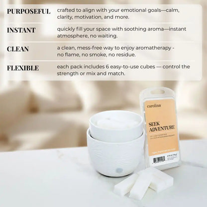 Seek Adventure Wax Melt