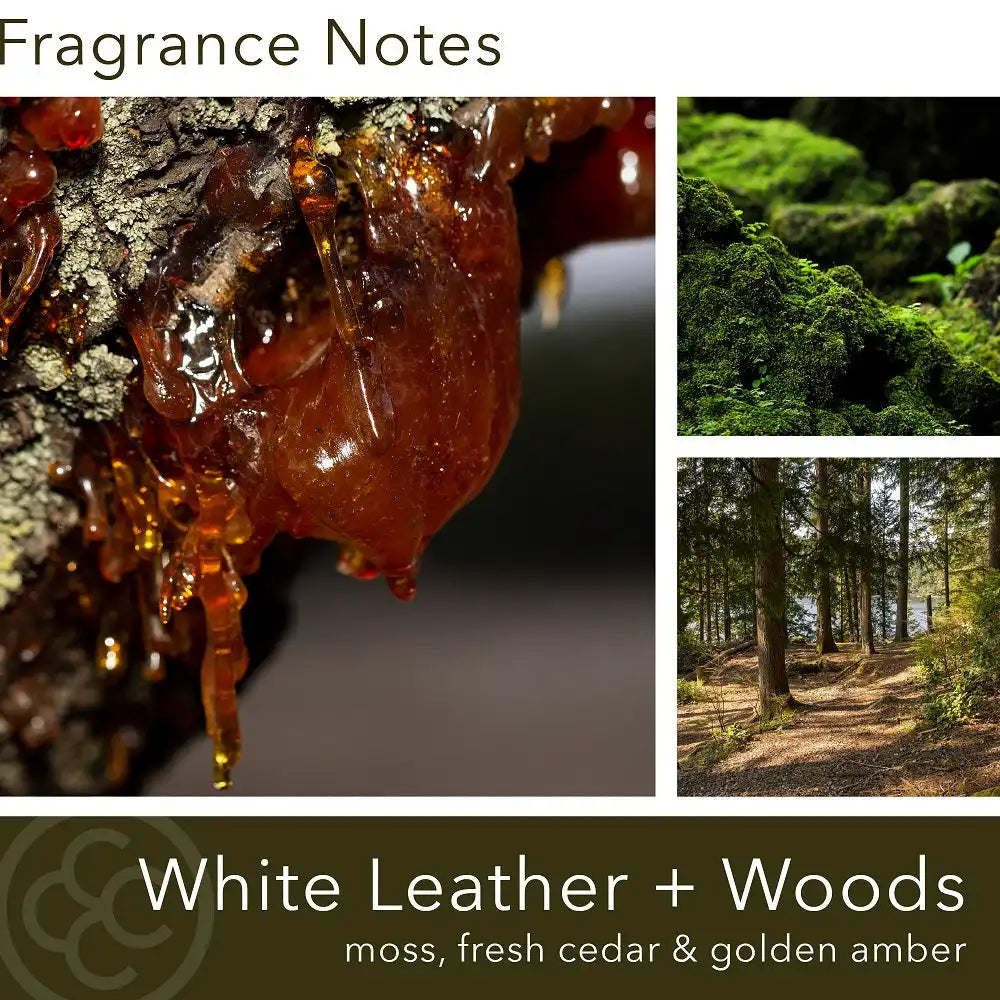 White Leather & Woods, 14 oz