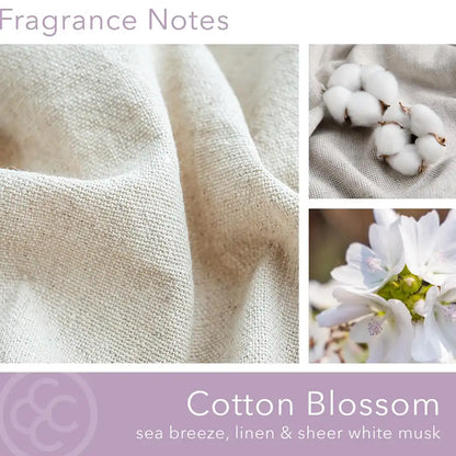Cotton Blossom, 14 oz