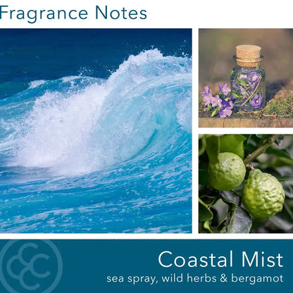 Coastal Mist, 14 oz