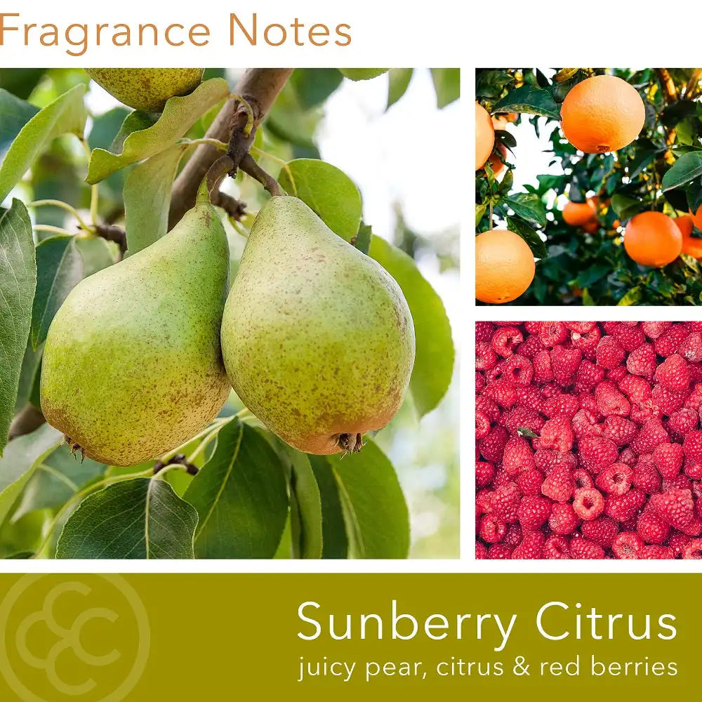 Sunberry Citrus, 14 oz