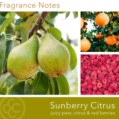Sunberry Citrus, 14 oz