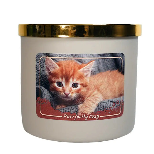 Purrfectly Cozy, 3-wick candle