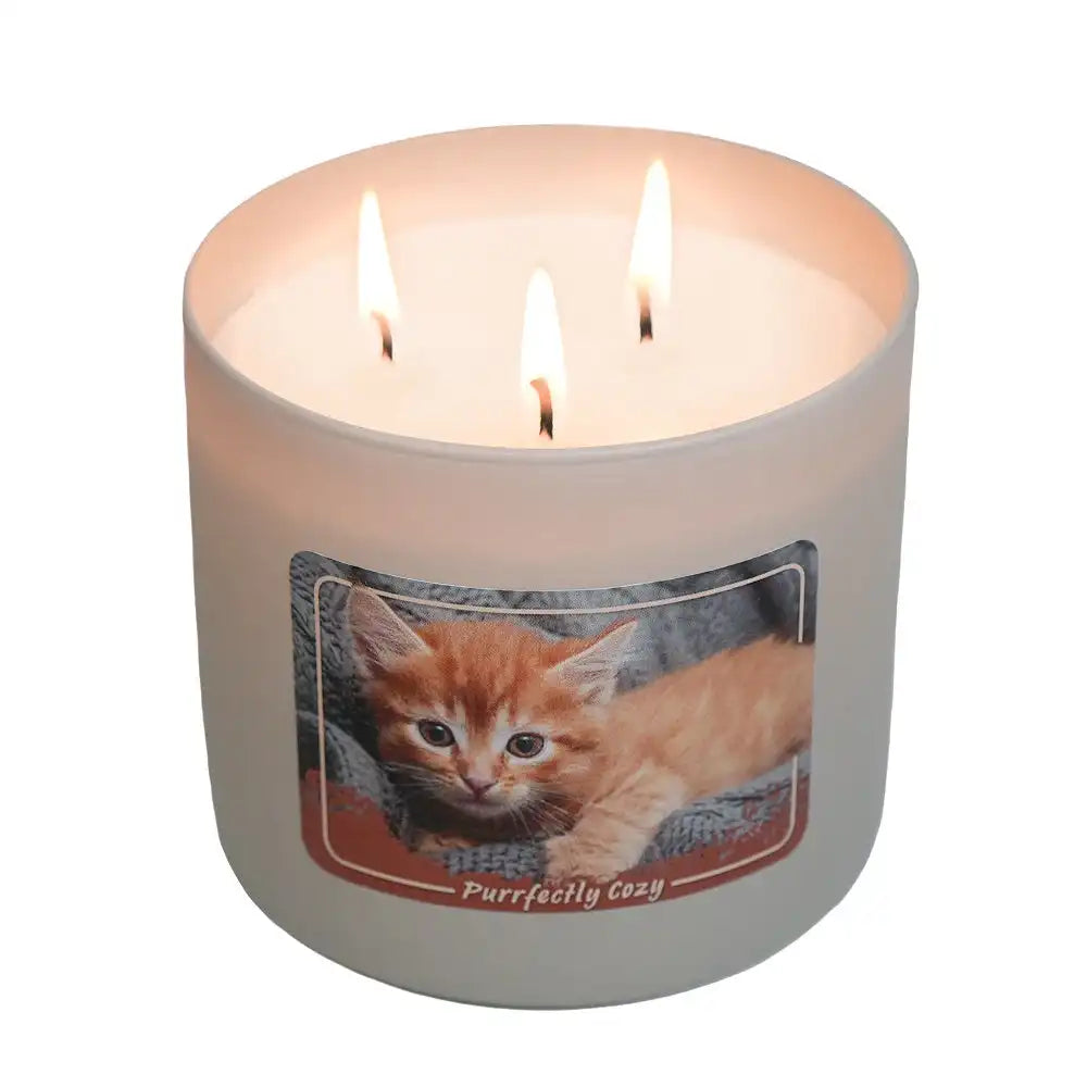 Purrfectly Cozy, 3-wick candle