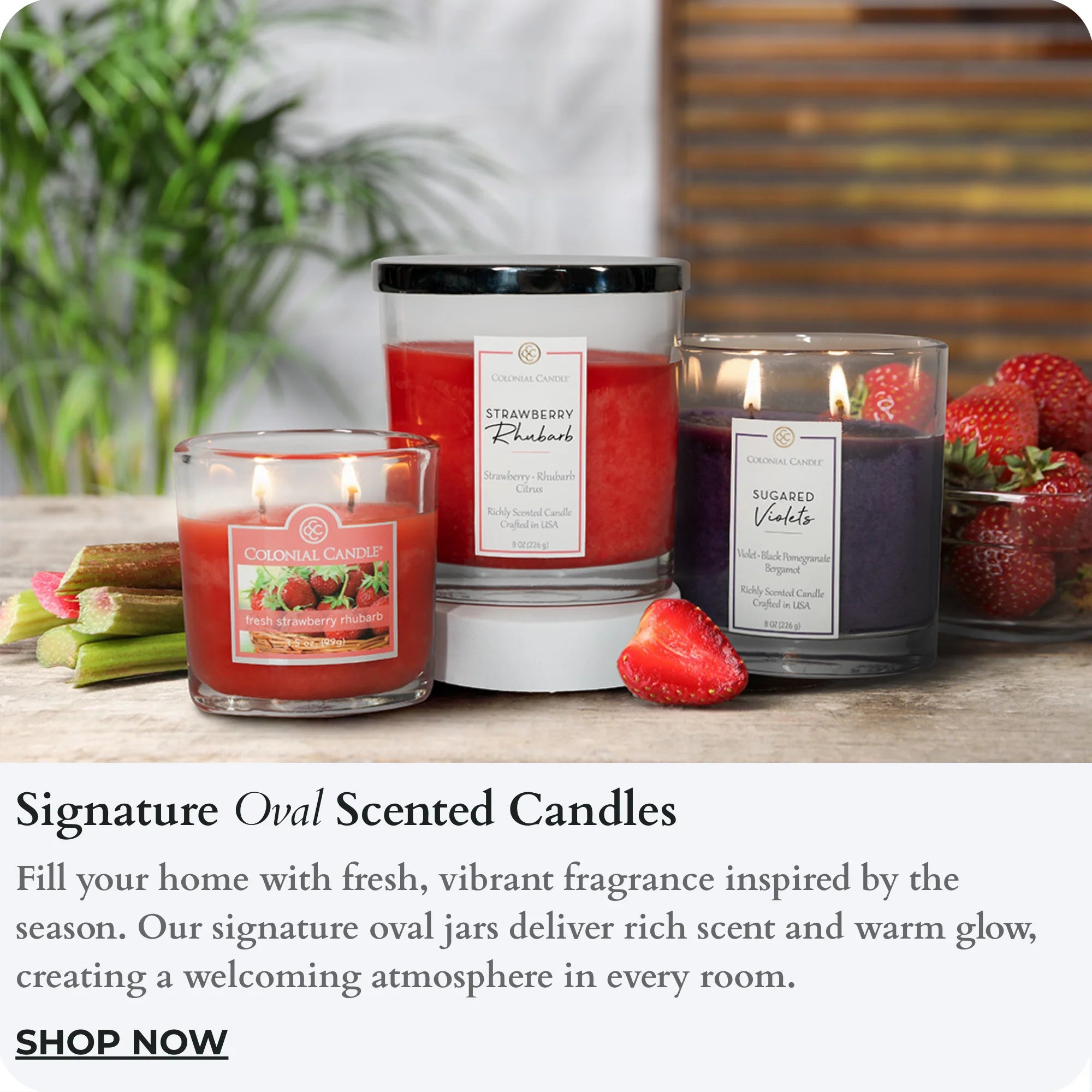 Signature Oval Scented Candles