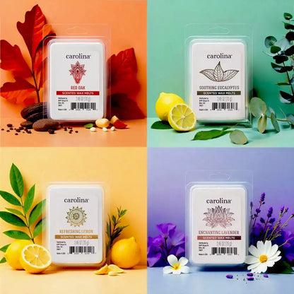 Balanced Elements Wax Melt Set, 4 pack