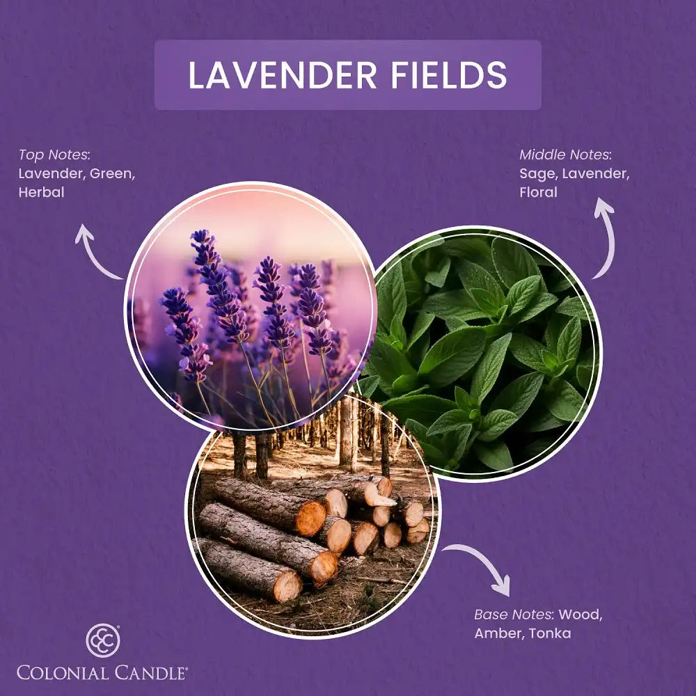 Lavender Fields, Classic Ovals, 8 oz