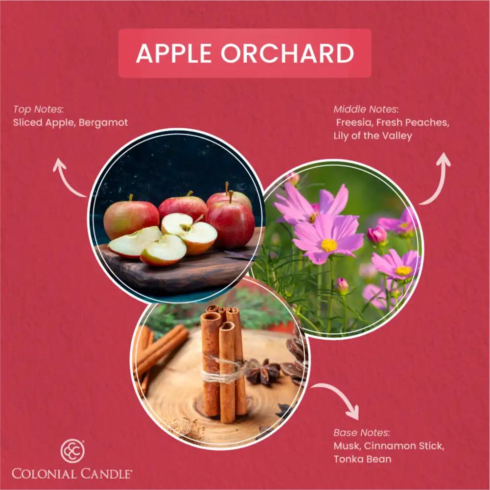 Apple Orchard, 3.5 oz Oval