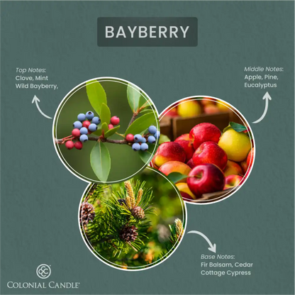 Bayberry, 3.5 oz Oval
