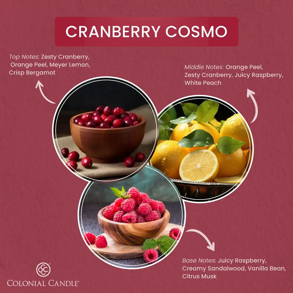 Cranberry Cosmo Wax Melt, 2.75 oz