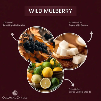 Wild Mulberry Wax Melt, 2.75 oz