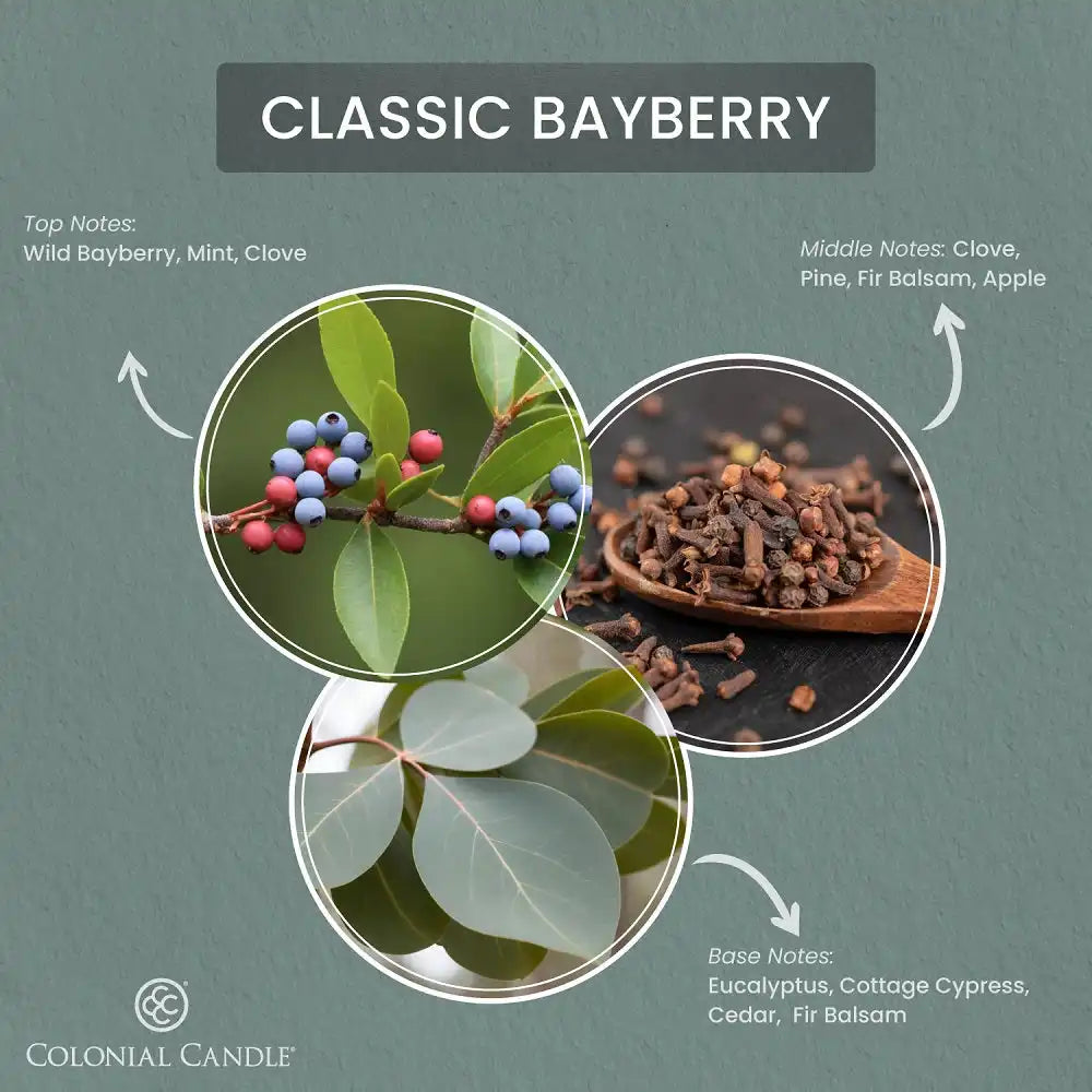 Classic Bayberry Wax Melt, 2.75 oz
