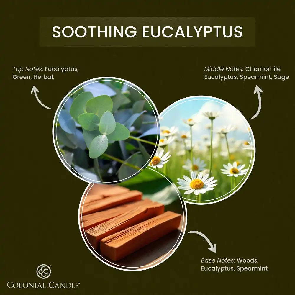 Soothing Eucalyptus Wax Melt, 2.75 oz