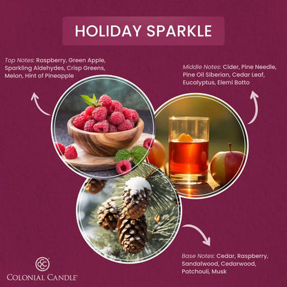 Holiday Sparkle Wax Melt, 2.75 oz
