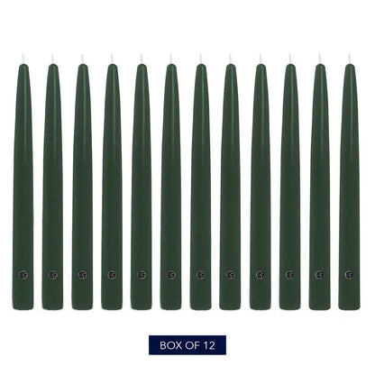 10" Evergreen Handipt Taper, 12 Pack