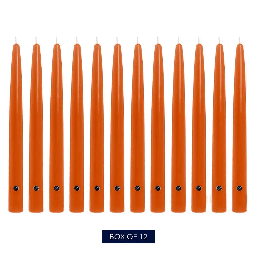 10" Pumpkin Handipt Taper, 12 Pack