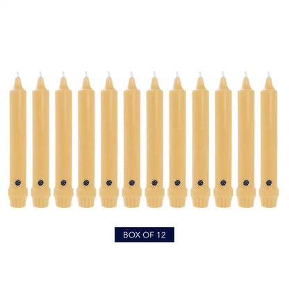 8" Limoncello Classic Dinner Candle, 12 Pack