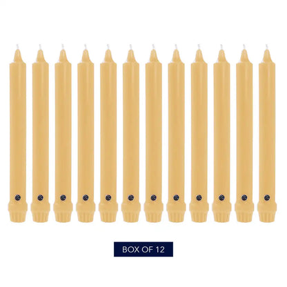 10" Limoncello Classic Dinner Candle, 12 Pack