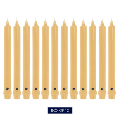 12" Limoncello Classic Dinner Candle, 12 Pack