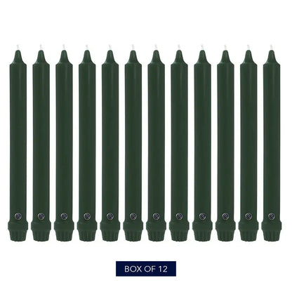 12" Evergreen Classic Dinner Candle, 12 Pack