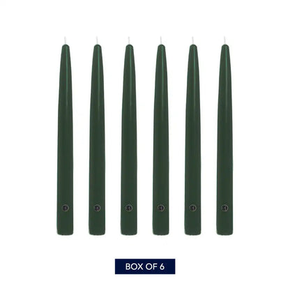 10" Evergreen Handipt Taper, 6 Pack