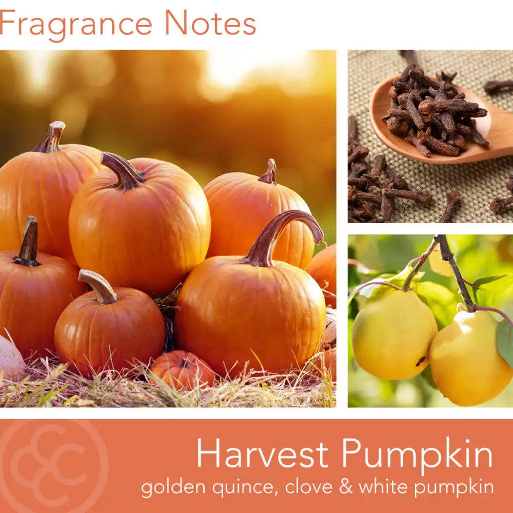 Harvest Pumpkin Wax Melt
